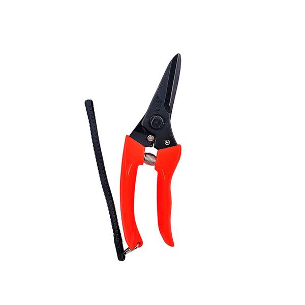 Straight Pruning Shears Singapore Eezee
