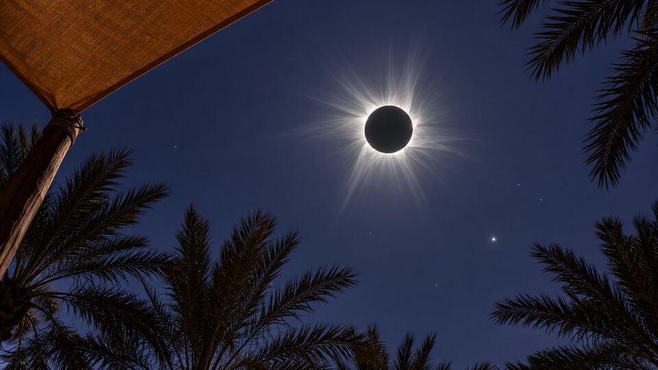 Illustration: the corona at totality, seen through palm fronds and a shade sail