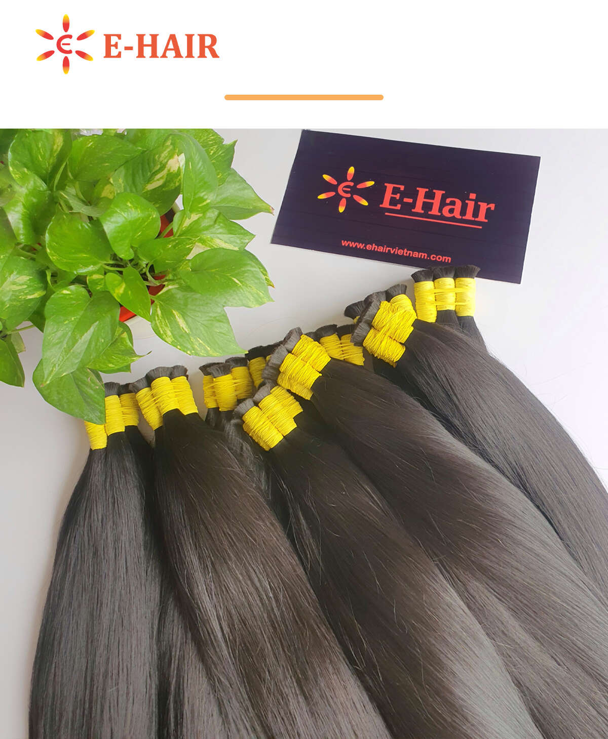 ehairvietnam, hair, wigs, vietnam hair, natural hair, export hair