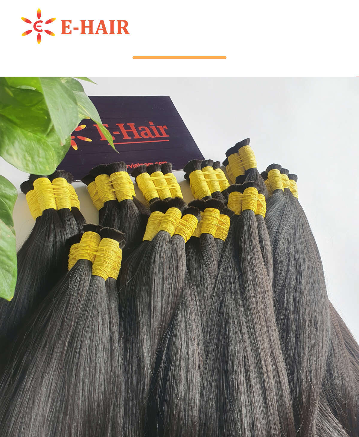 ehairvietnam, hair, hair extensions,wigs, vietnam hair, hair extensions,natural hair, hair extensions,export hair