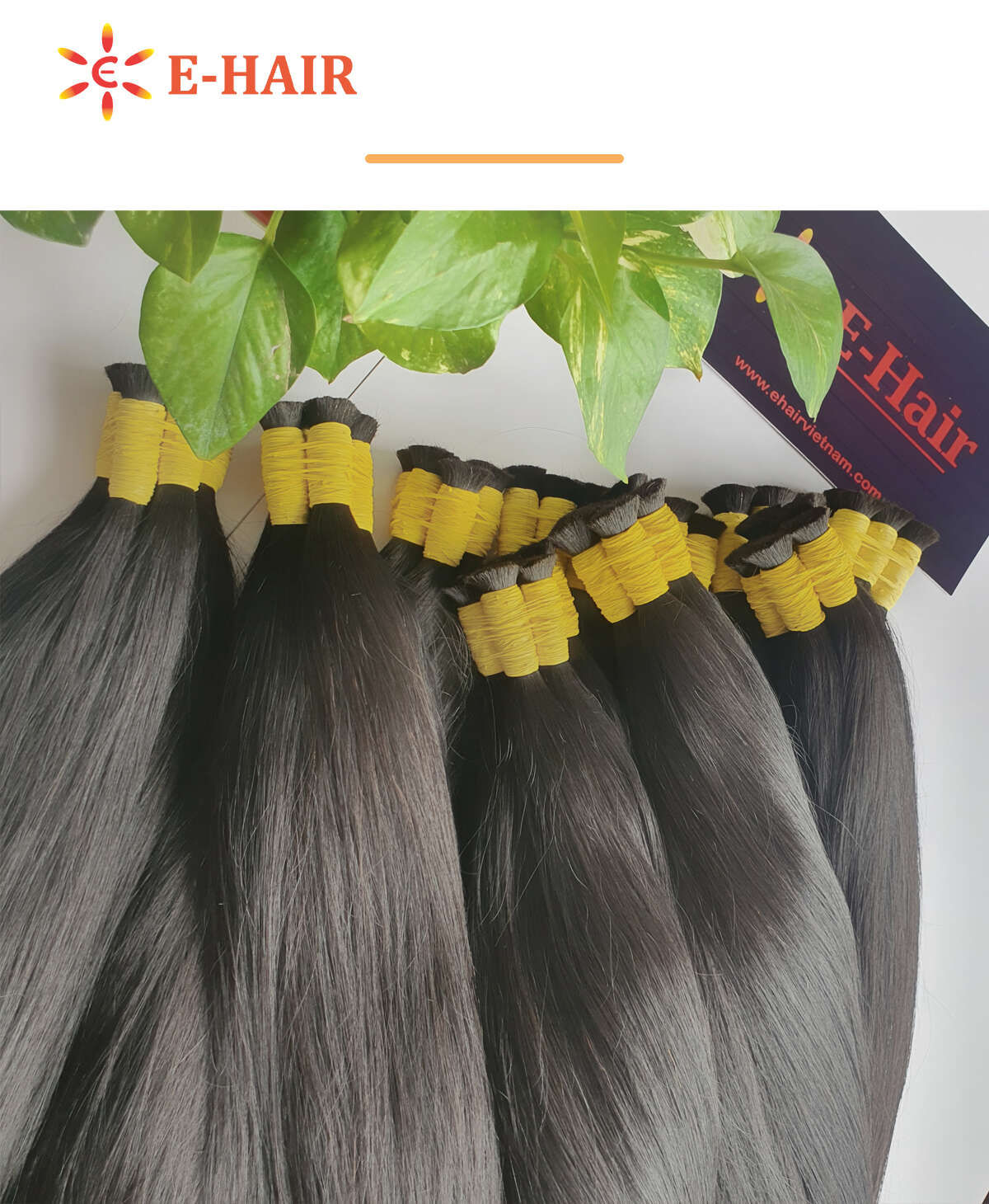 ehairvietnam, hair, hair extensions,wigs, vietnam hair, hair extensions,natural hair, hair extensions,export hair