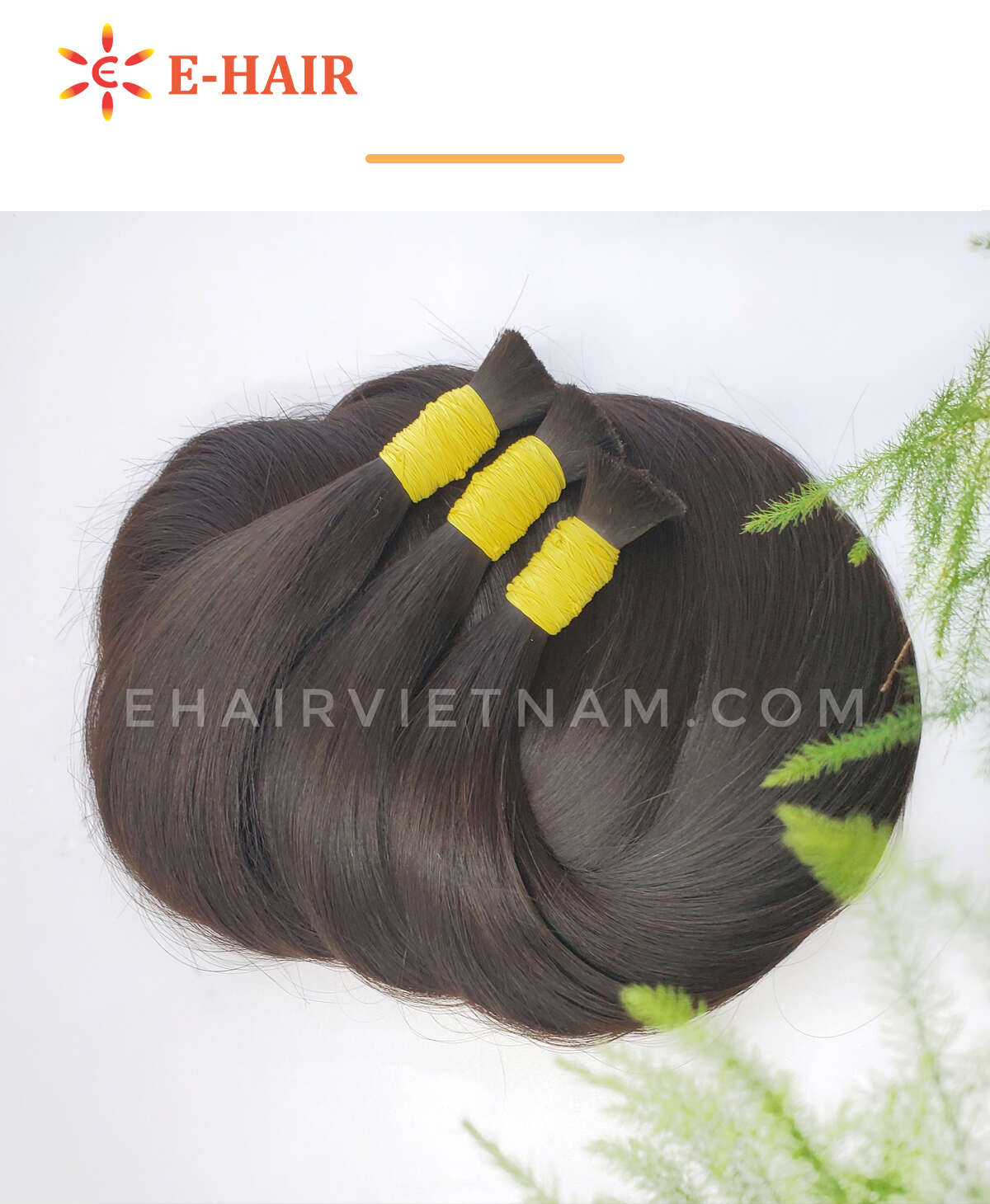 ehairvietnam, hair, hair extensions,wigs, vietnam hair, hair extensions,natural hair, hair extensions,export hair