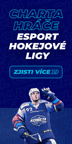 Charta hráče Esport hokejové ligy