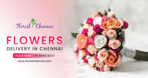 Whether you're looking to buy roses, gift baskets, bonsai trees, flowering plants, or wedding bouquets, we have the highest quality floristchennai who can create exactly what you order Cake and Flowers, Floristchennai gives highest quality blooms and the most talented florists who can create exactly what you order Cake or Flowers. Dazzle and delight your loved ones with absolutely unique flowers and gifts.

Call to Discuss: +919841586217

Visit Our Website: https://www.floristchennai.com/