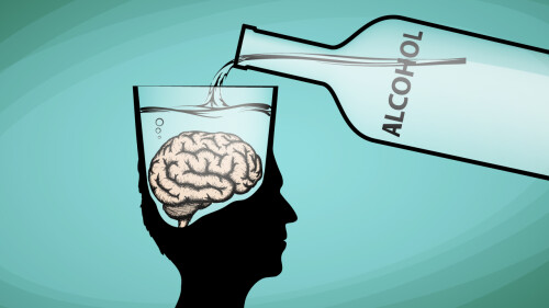 nm alcohol and the brain feature