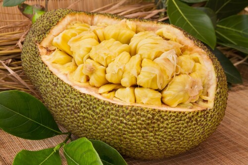 JACKFRUIT.jpg