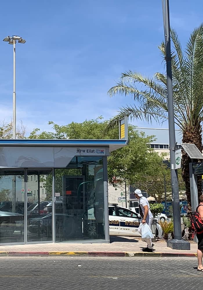 חכמים בשמש