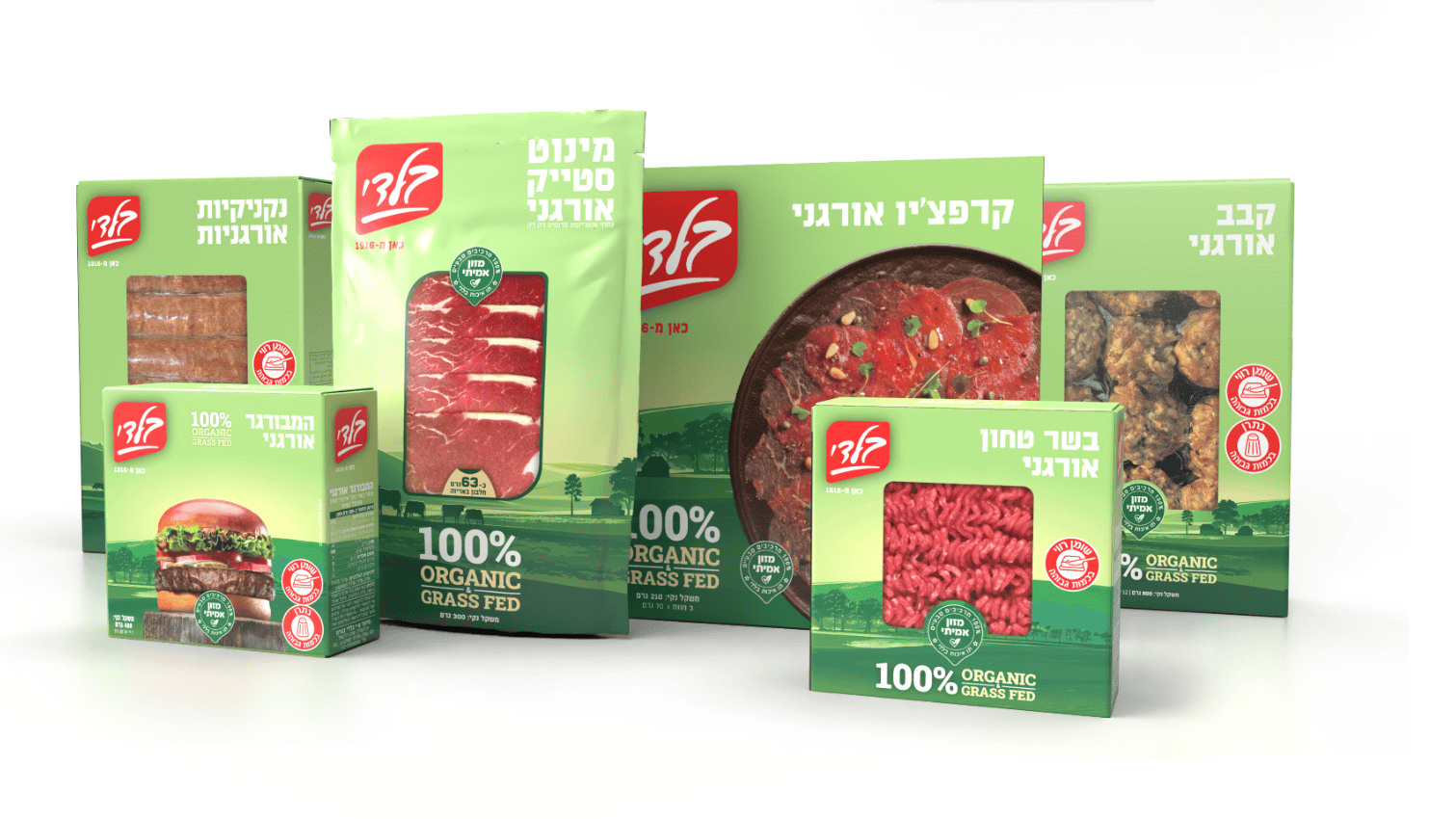 חדש על המדף