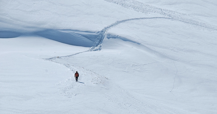 Shackleton's Antarctic Adventure: Parallels to Entrepreneurship