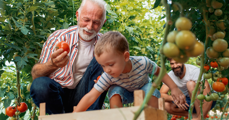 Developing responsible owners in <mark>family</mark> <mark>business</mark>