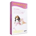 Antipulgas E Carrapatos Zoetis Revolution 6 Para Cães E Gatos Até 2,5 Kg - 3 Ampolas De 0,25 Ml