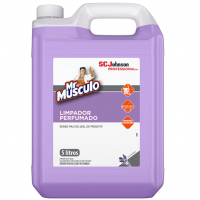 Limpador Perfumado Mr Músculo Professional Lavanda 5L