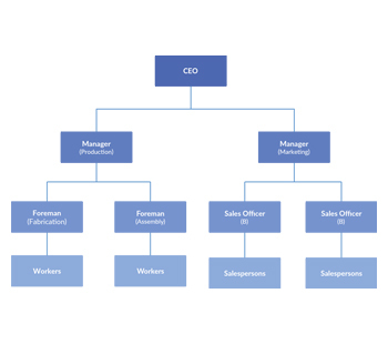 contoh struktur organisasi - EKRUT
