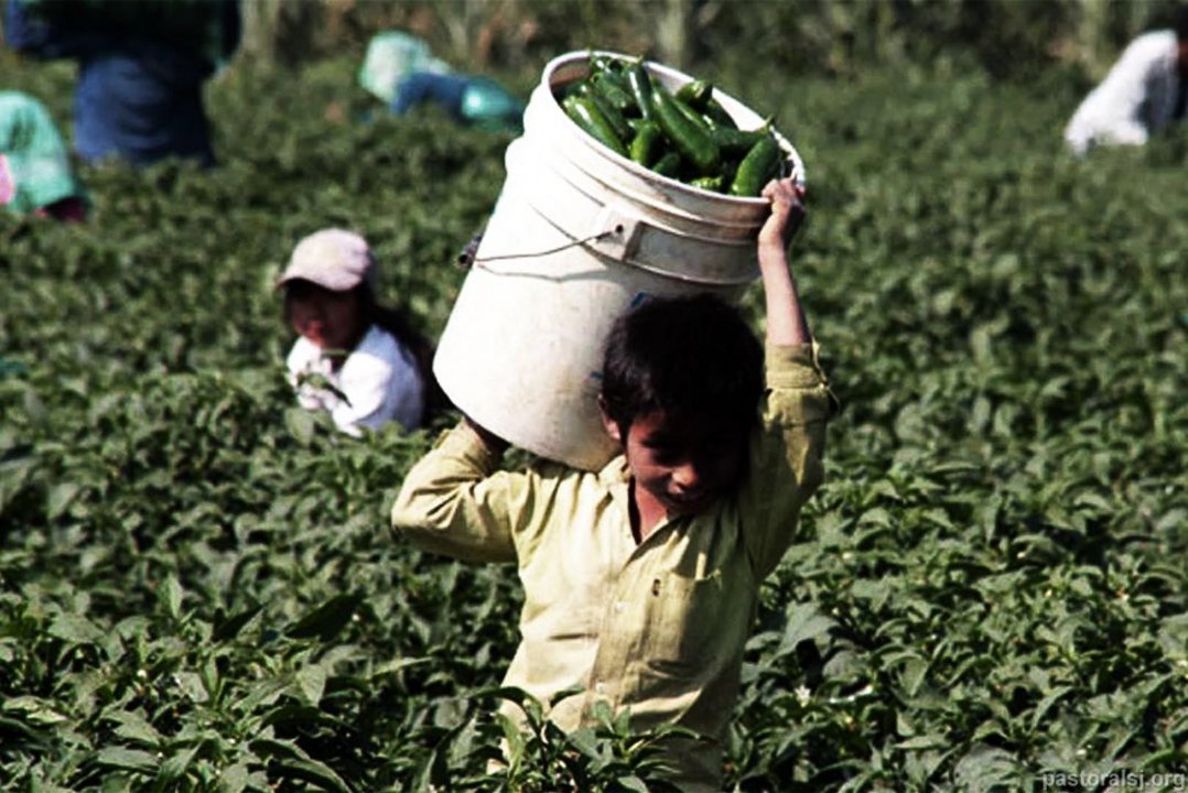 Según una encuesta que realiza la OIT, en Argentina hay más de 1.100.000 menores de 18 años que trabajan.