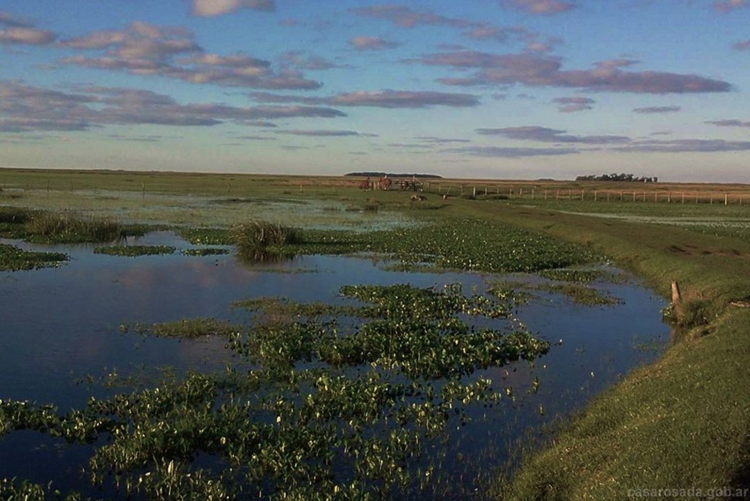 Esteros del Iberá, Sitio Ramsar desde 2002