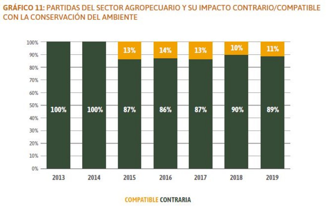 Extracción del informe