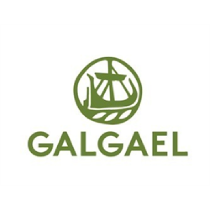 Galgael Trust