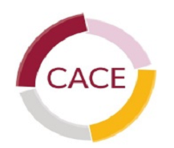 CACE (Cumbernauld Action on Care of the Elderly)