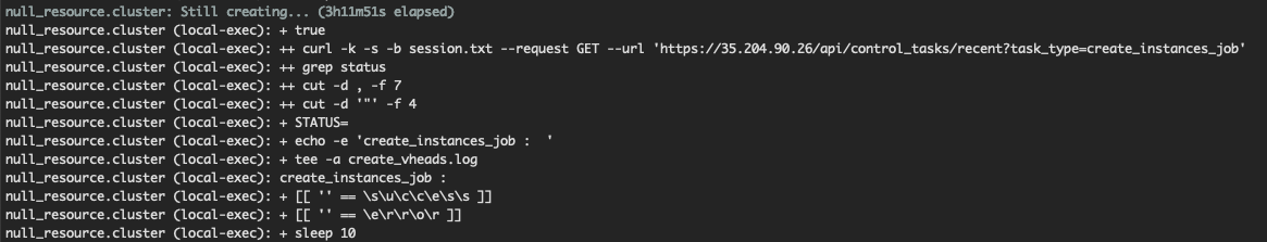 console output null_resource.cluster