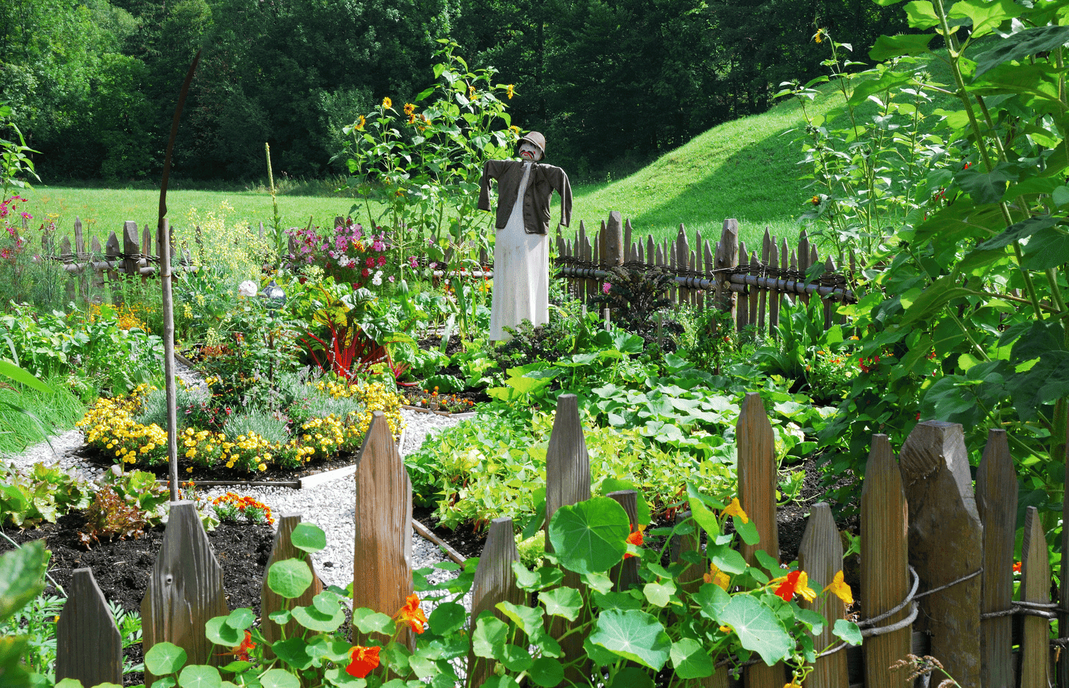 How to Create the Perfect Vegetable Garden