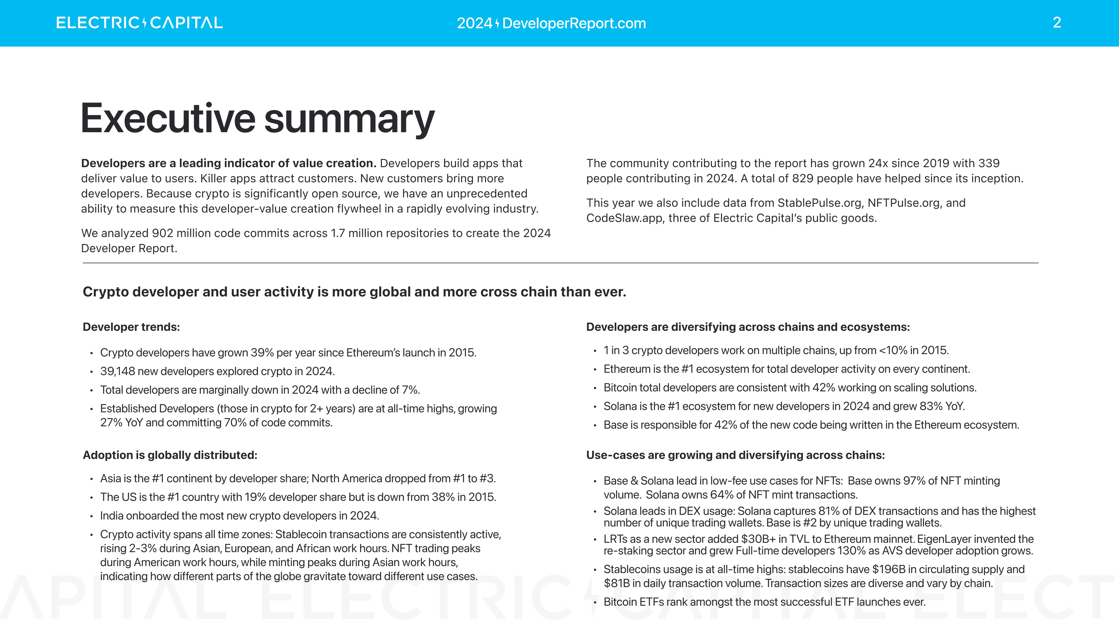 Developer Report 2024