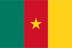 Flag of  Cameroon