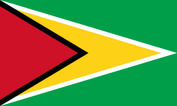 Bandera de  Guayana