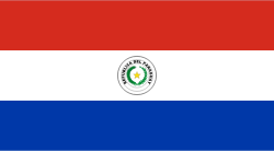 Bandera de  Paraguay