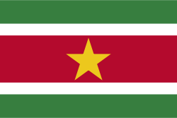 Flagge von  Suriname