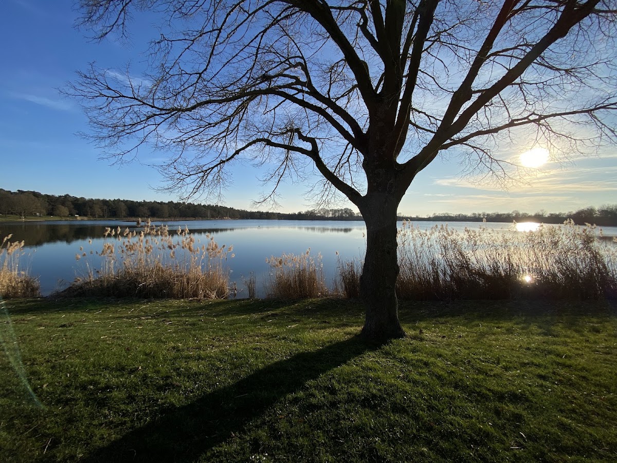 Mainufer Promenade & River Beach