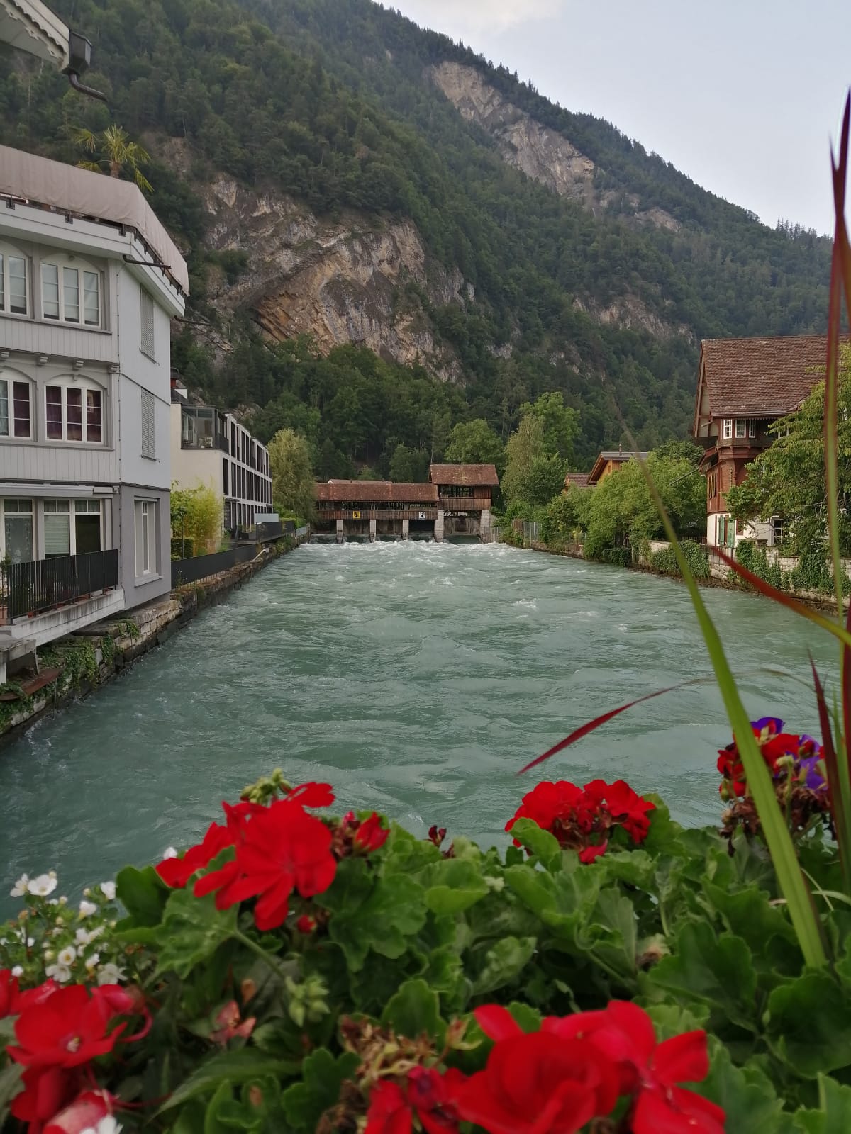 Vier Ausflüge rund um Thun an einem Wochenende