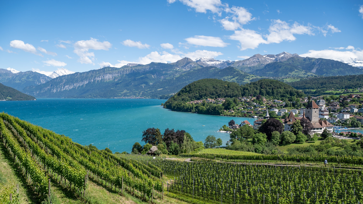 Spiez Castle