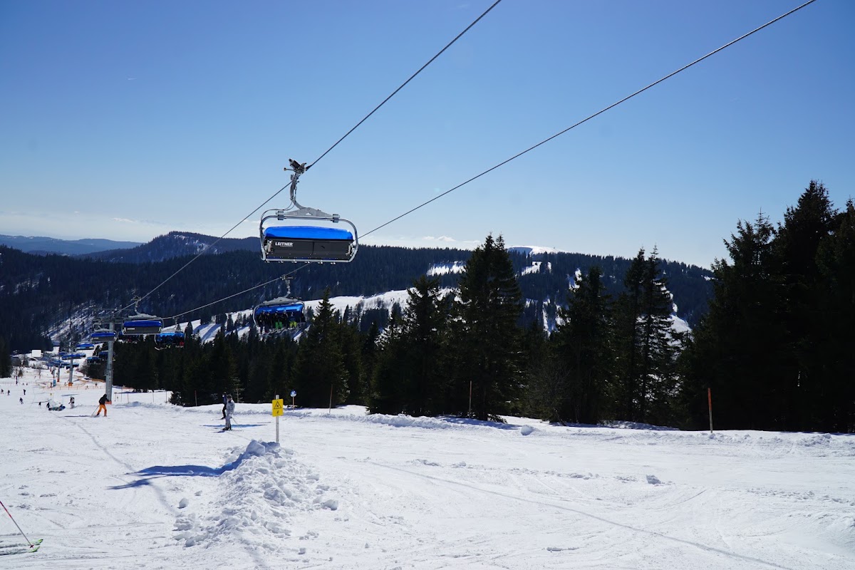 Feldberg