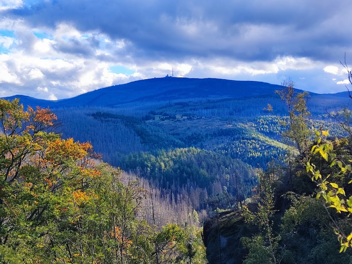 Harz National Park
