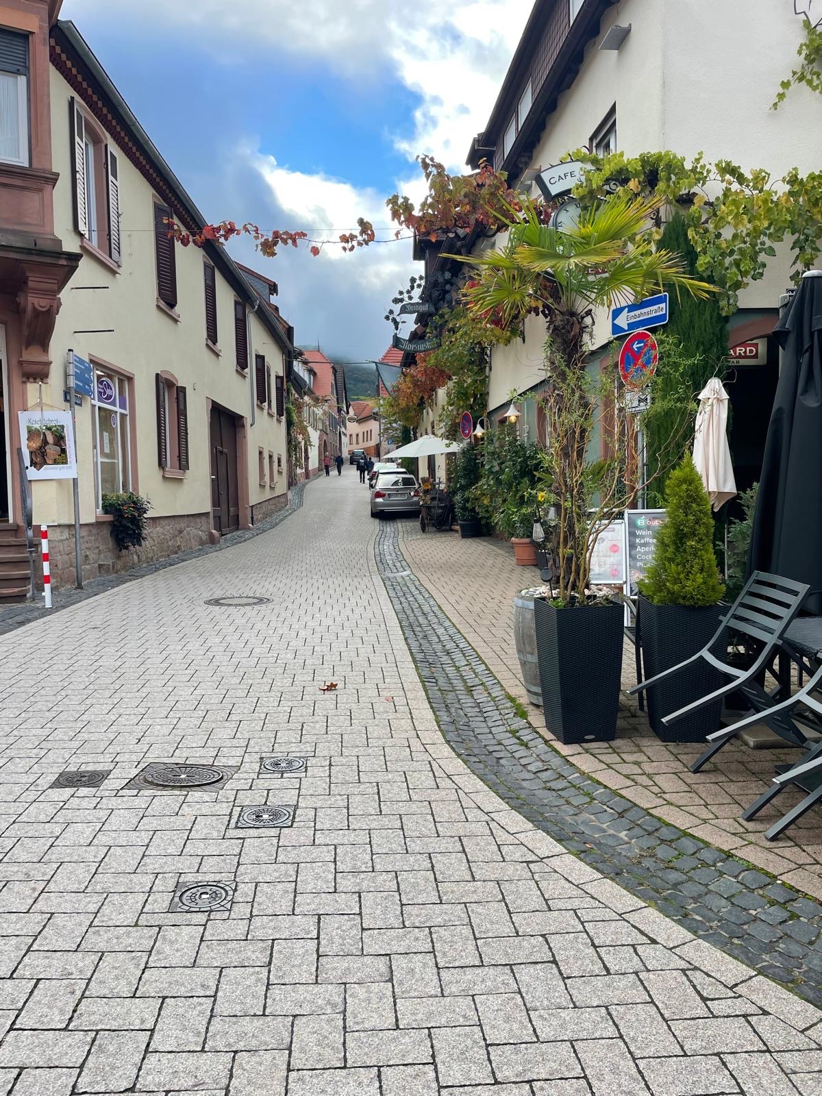 Pfälzerwald – Wandereinstieg