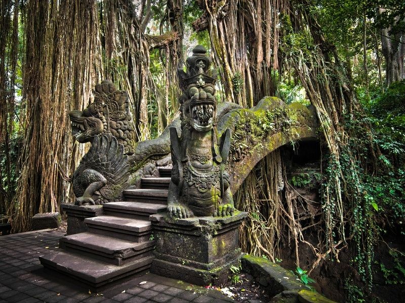 Ubud Sacred Monkey Forest