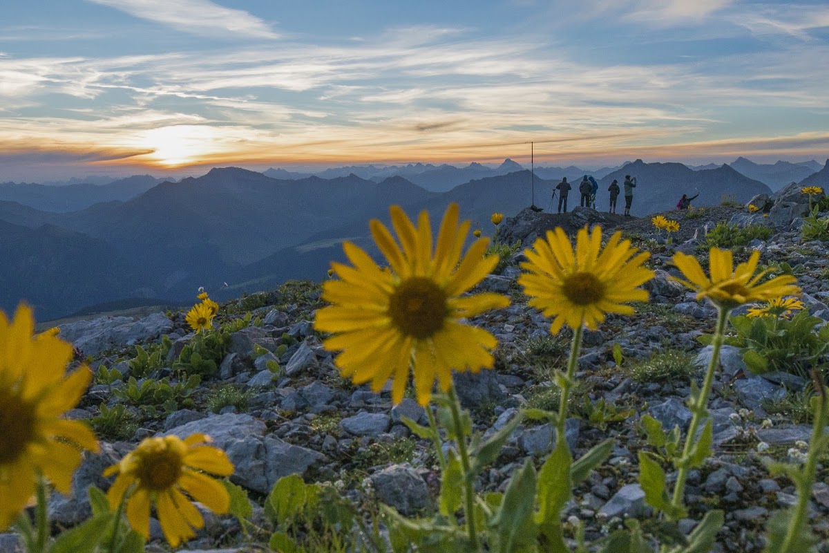 Dorfzentrum Arosa