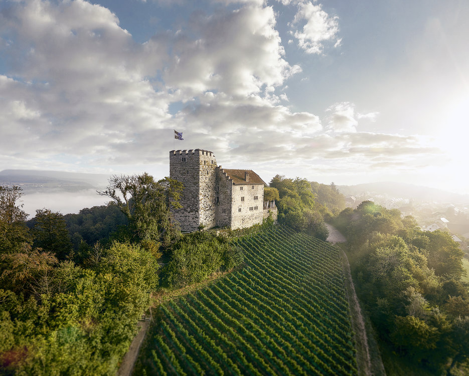 Burg Habsburg
