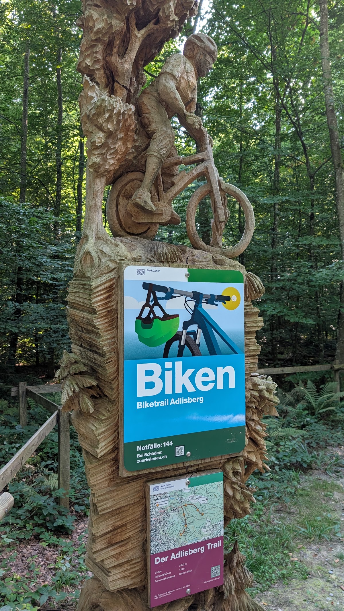 Why the Adlisberg Trails Deserve More Attention