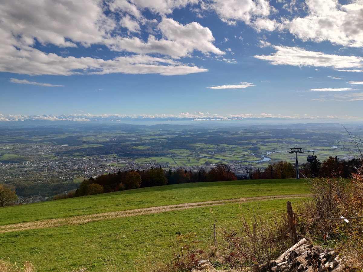 Weissenstein