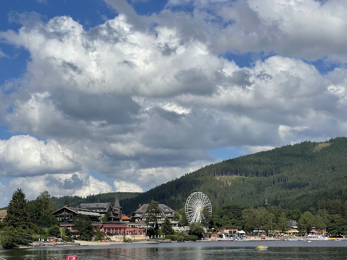 Kurpark Titisee