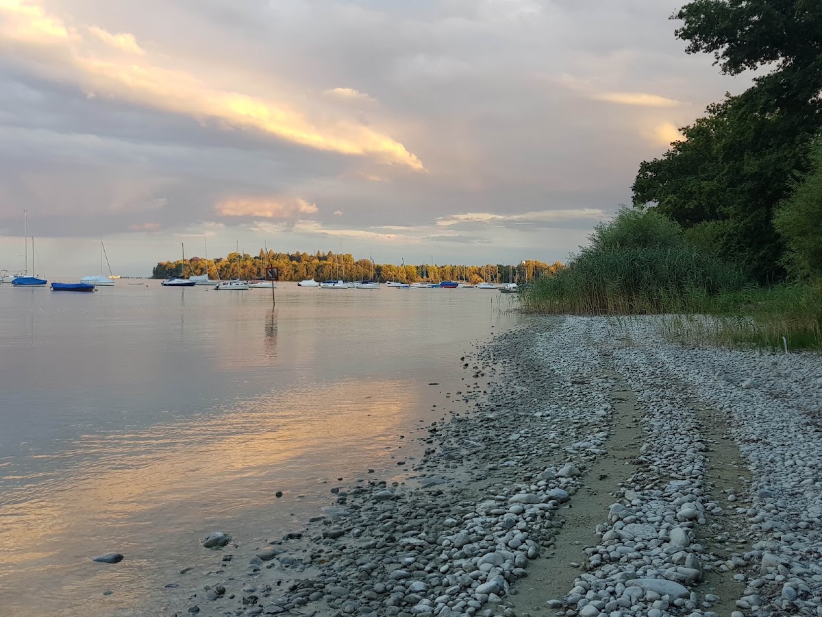 Bodensee-Ufer