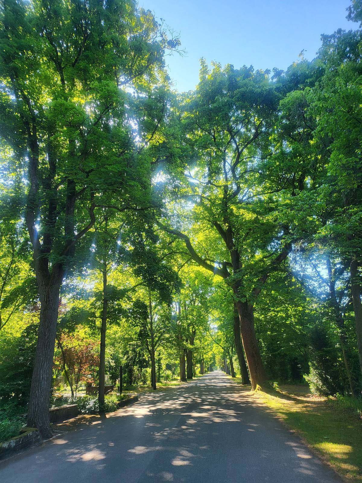 Pegnitz Riverside Walk