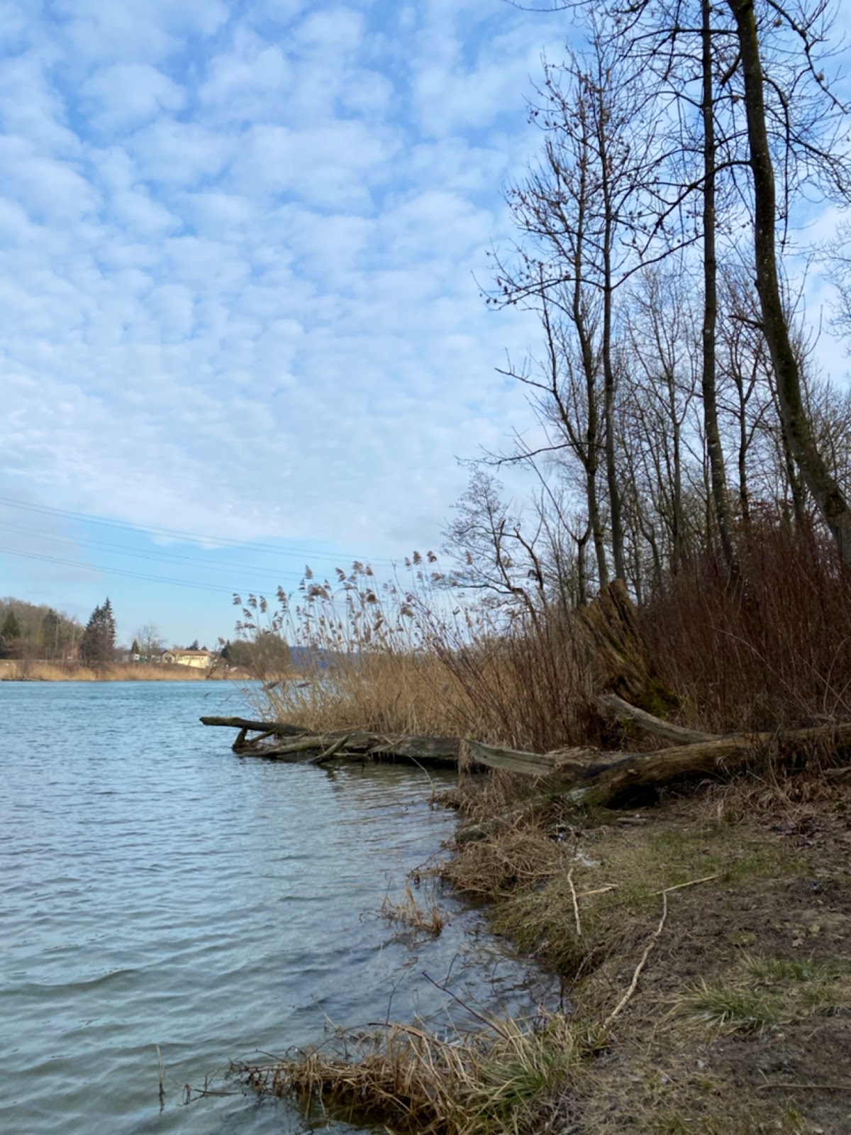 Aare-Uferweg