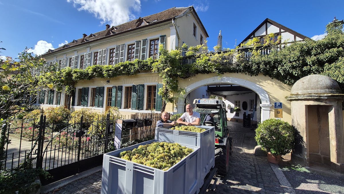 Riesling, Ruppertsberg und ruhige Wege