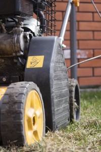 Aerate Your Lawn: How and Why You Should