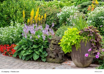 What You Need To Know This Before Planting Your Flower Garden