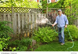 Fences Can Help Protect Privacy, Property, and More