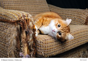 How To Find A Furniture Fabric That Suits Your Needs