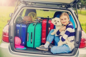 What to Do with Your Pets When You Go on Vacation